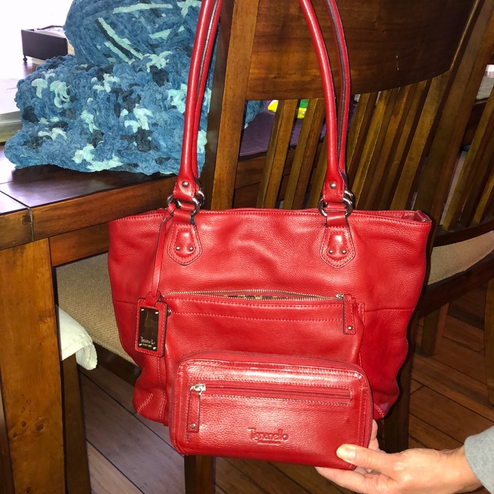 Tignanello purse with wallet